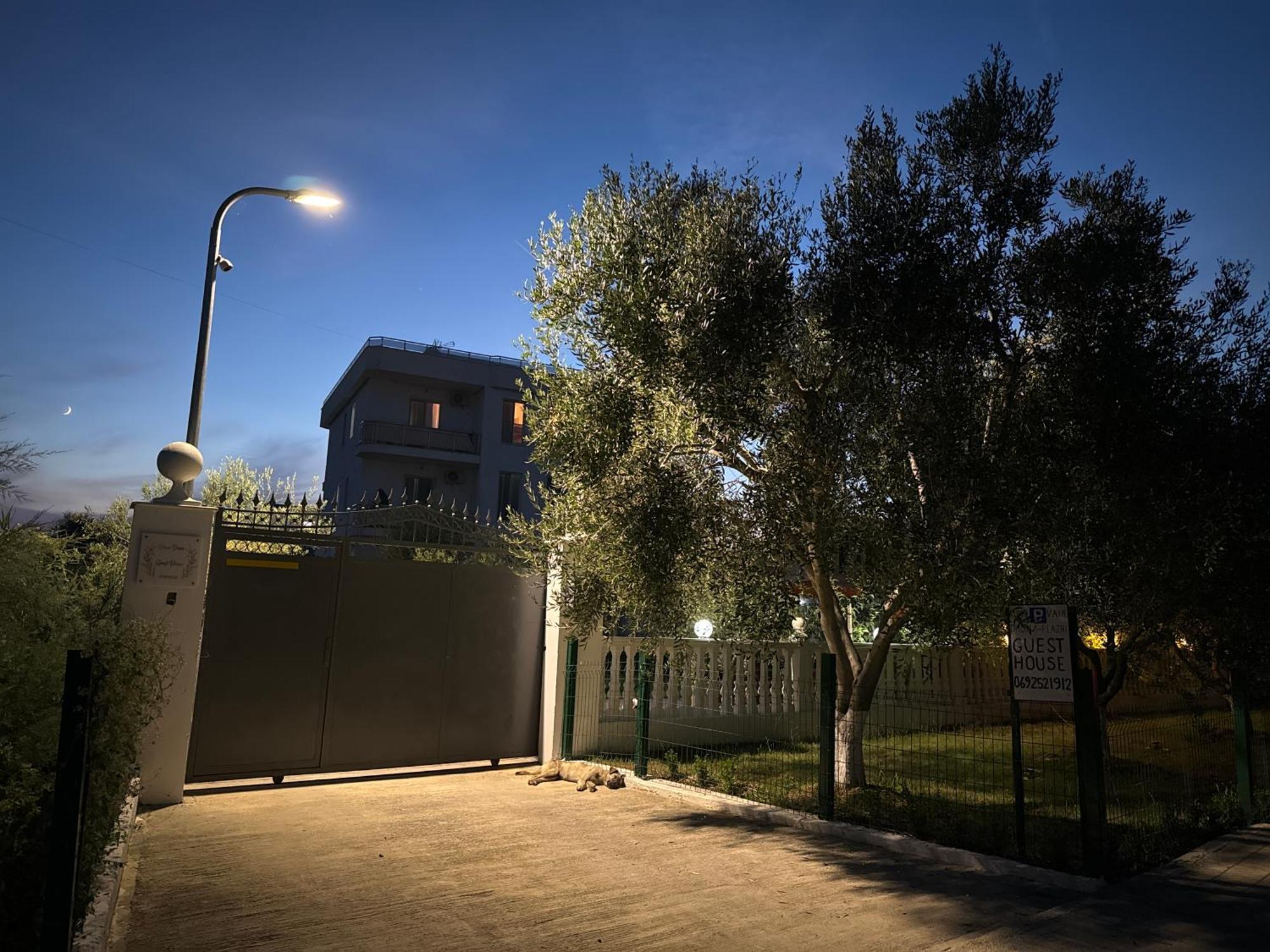 Kunevain Guest House Lezhë المظهر الخارجي الصورة